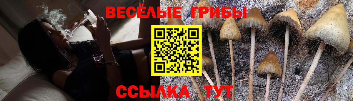Галлюциногенные грибы Magic Shrooms Нягань