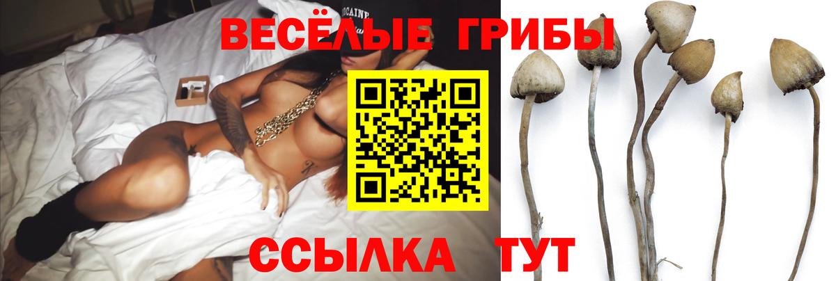 Нягань  Галлюциногенные грибы ЛСД  Галлюциногенные грибы прущие грибы  Вход с VPN 